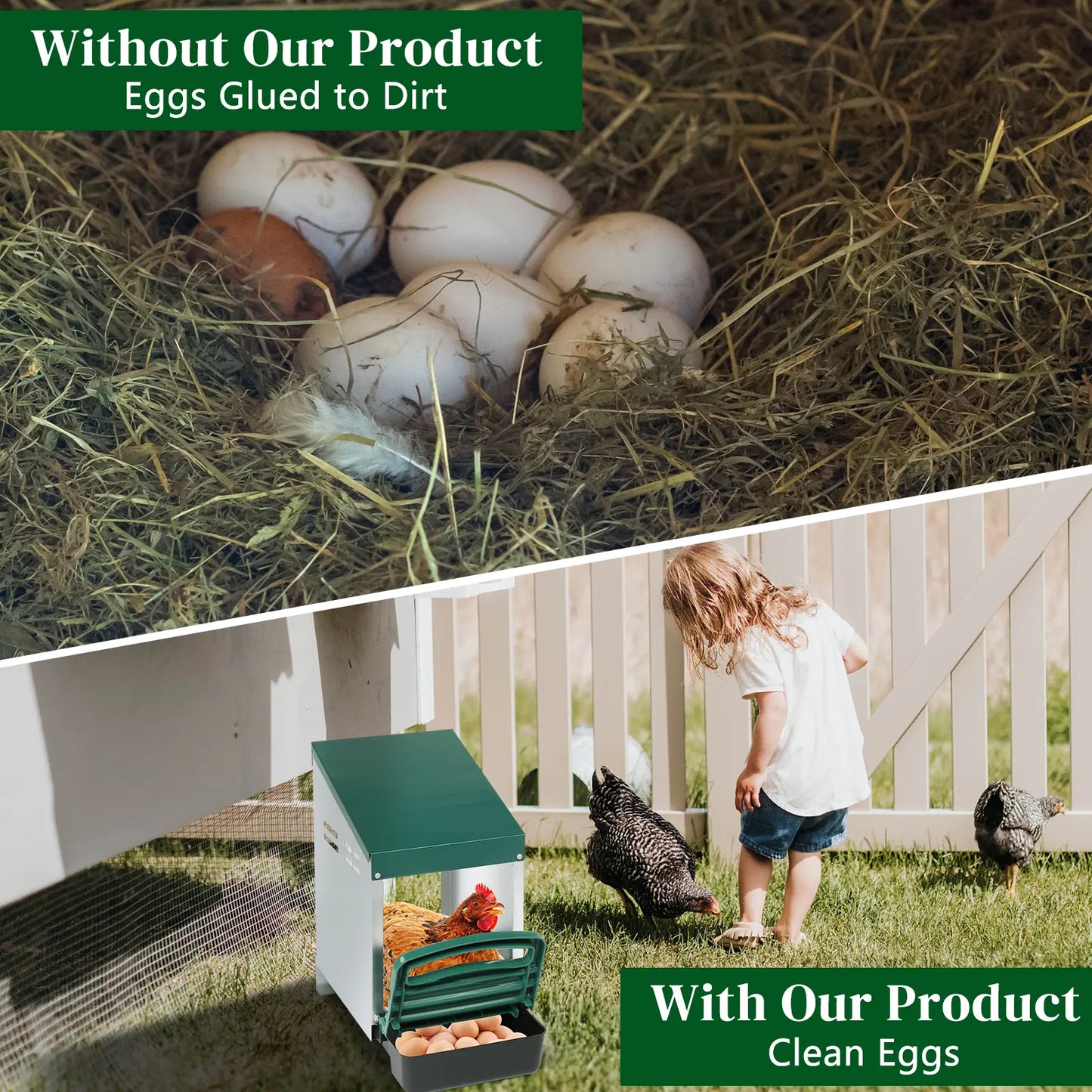 REBUYHOME 1/2/3/8 Compartment Roll Out Chicken Nesting Box with Plastic Basket, Egg Laying Box for Chicken Coop, Green,Litter Box,Summervibes,Petlovers Summervibes