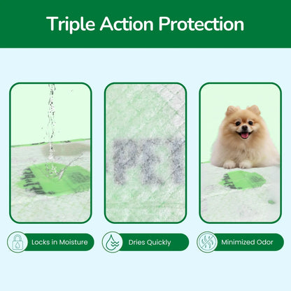 Pet N Pet 50-Count Puppy Training Pads – 48% USDA Certified Plant-Based, Unscented, Super Absorbent, and Leak-Proof